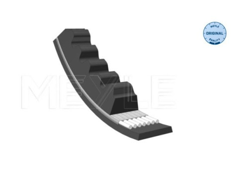 courroie trapézoïdale