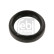 Bague d'étanchéité, différentiel 31500 FEBI, Vignette 2