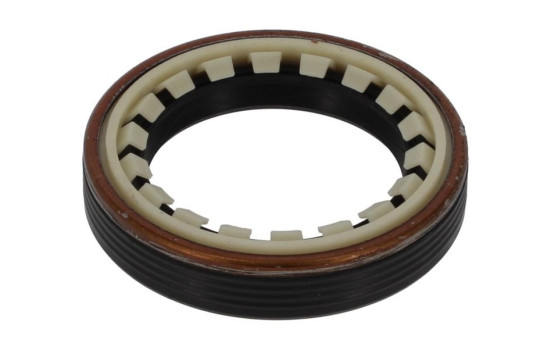 Bague d'étanchéité, différentiel NF836 Payen
