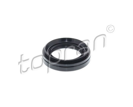 Bague d'étanchéité, différentiel