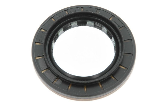 Bague d'étanchéité, différentiel