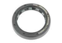 Bague d'étanchéité, différentiel