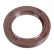 Bague d'étanchéité, vilebrequin 106998 FEBI