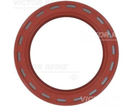 Bague d'étanchéité, arbre à cames 81-24909-10 Viktor Reinz