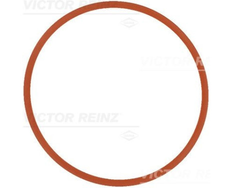 Joint, collecteur d'admission 71-17370-00 Viktor Reinz