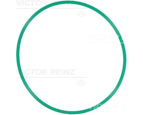 Joint d'étanchéité, carter de collecteur d'admission 71-12508-00 Viktor Reinz