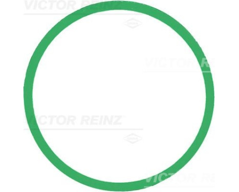 Joint d'étanchéité, collecteur d'admission 71-39303-00 Viktor Reinz