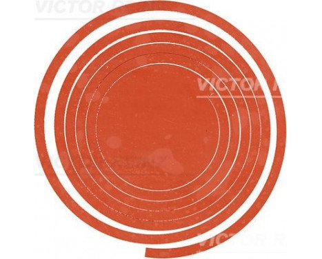 Joint de cache culbuteurs 71-41444-00 Viktor Reinz
