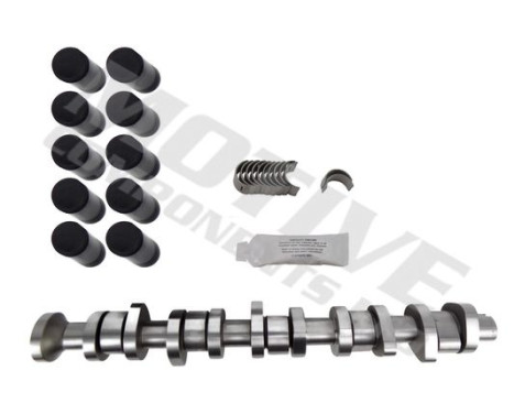 Jeu d'arbres à came