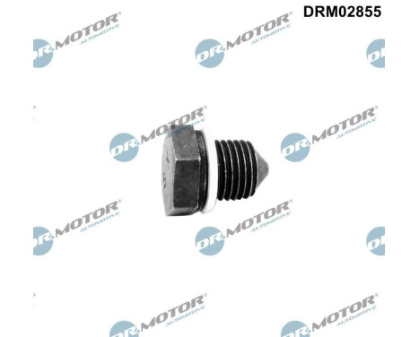 Bouchon fileté, carter d'huile