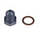 Vis-bouchon, carter d'huile ADV180106 Blue Print