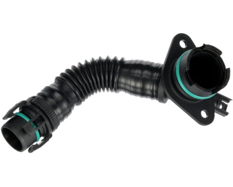 Flexible, reniflard de bloc moteur