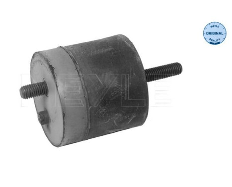 Corps d'essieu/palier de support moteur 300 118 1100 Meyle