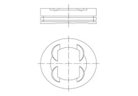 Piston