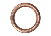 AMPOULES ARTICULAIRES 227371