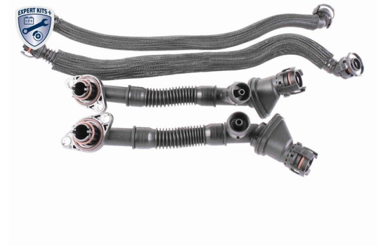 Kit de réparation, ventilation du carter-moteur EXPERT KITS +, Image 2