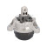 Support moteur 45589 FEBI, Vignette 2