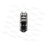 Culbuteur, distribution, Vignette 2