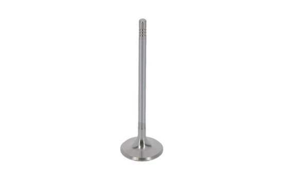 Valve, Image 6
