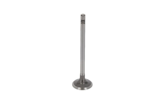Valve, Image 4