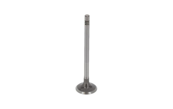 Valve, Image 5