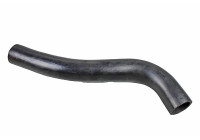Tuyau de carburant