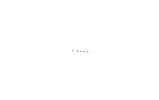 Kit de réparation, système à rampe commune F 00Z C99 737 Bosch
