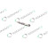 REMAN INJ CR BOSCH 0432193965