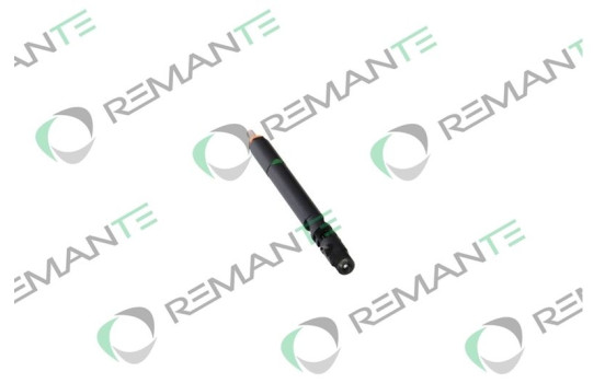 REMAN INJ CR DELPHI EJBR02601z, Image 2