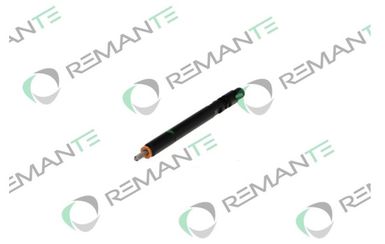 REMAN INJ CR DELPHI EJBR02601z, Image 6