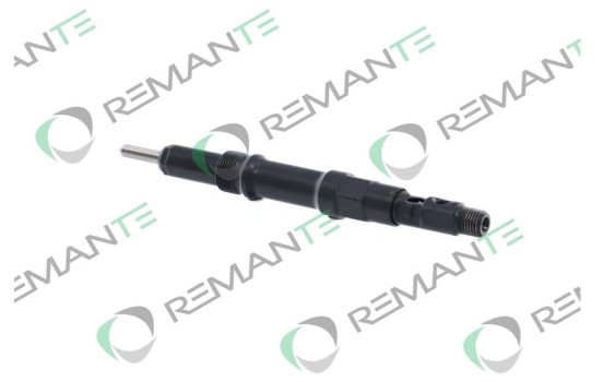 REMAN INJ CR DELPHI R00202Z