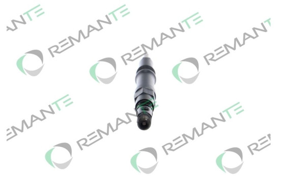 REMAN INJ CR DELPHI R00202Z, Image 2