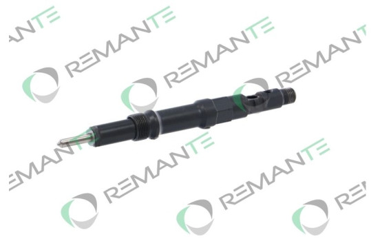 REMAN INJ CR DELPHI R00202Z, Image 6