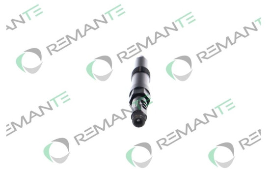 REMAN INJ CR DELPHI R00601D, Image 2