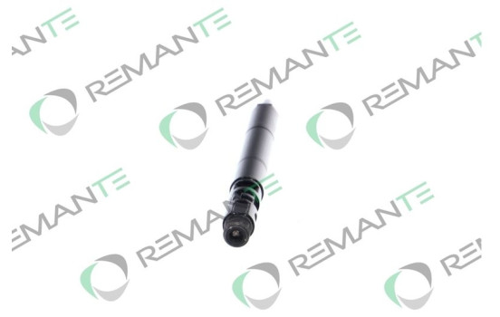 REMAN INJ CR DELPHI R01001A, Image 2