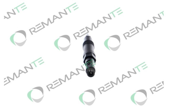 REMAN INJ CR DELPHI R01001D, Image 2