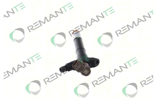 RÉMANENT INJ CR DENSO 295900-042, Image 2