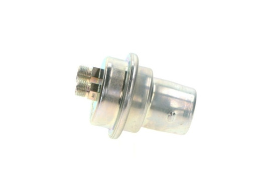 Accumulateur de pression, pression de carburant 0 438 170 001 Bosch, Image 2