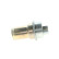 Accumulateur de pression, pression de carburant 0 438 170 026 Bosch, Vignette 4