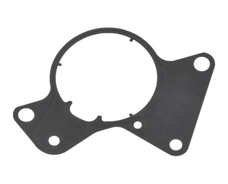 Joint d'étanchéité, pompe à carburant