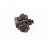 Pompe à haute pression CR/CP1H3/R85/10-789S Bosch, Vignette 5