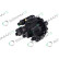 Pompe d'injection haute pression, Vignette 3