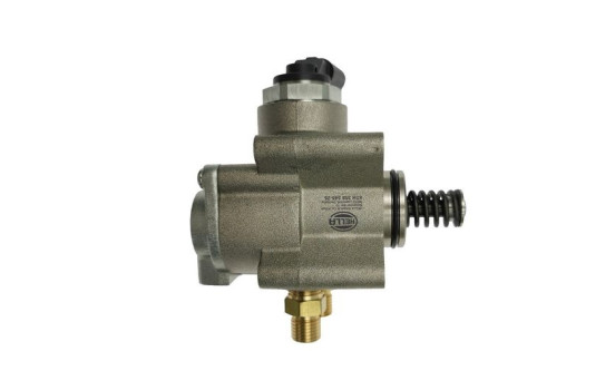 Pompe d'injection haute pression, Image 3