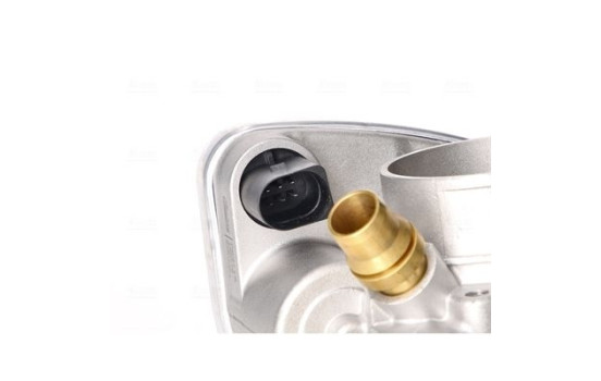 Corps de papillon, Image 5