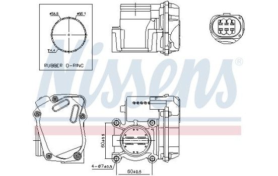 Corps de papillon, Image 6