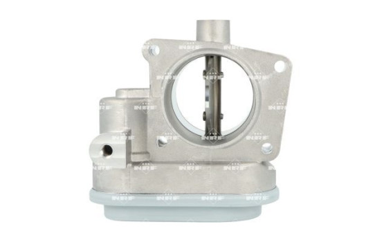Corps de papillon