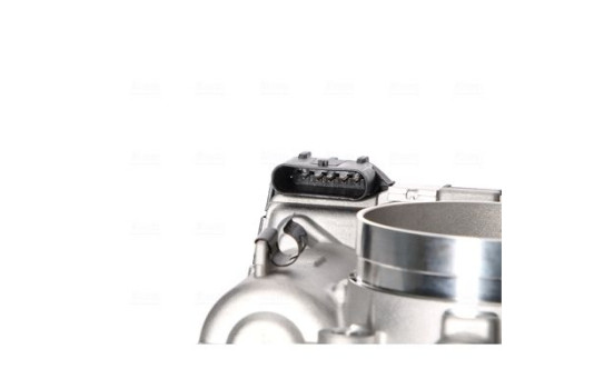 Corps de papillon, Image 5