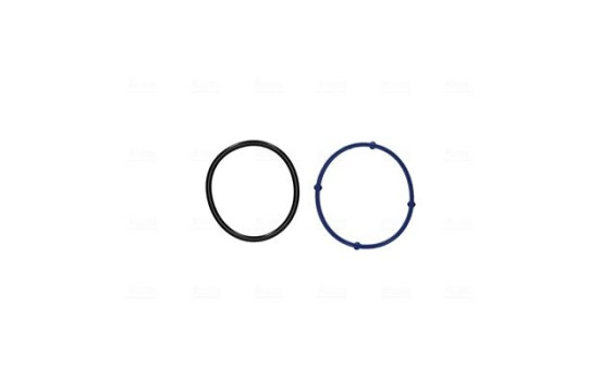 Corps de papillon, Image 6