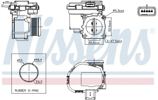 Corps de papillon, Image 7