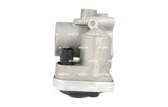 Corps de papillon, Image 2